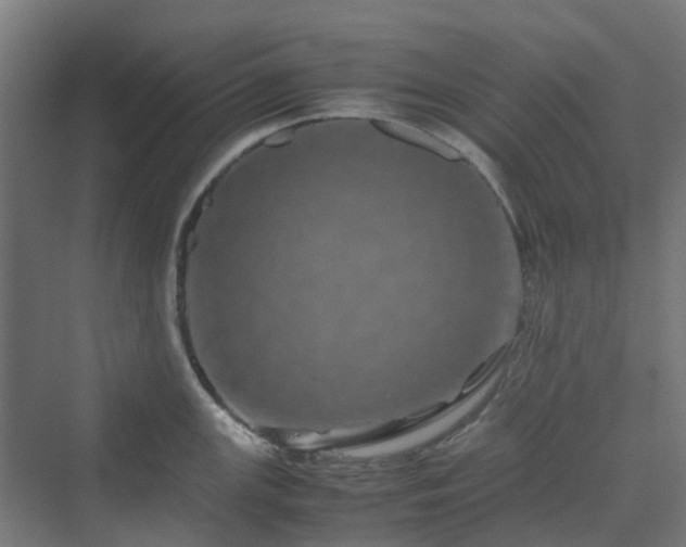 X0000070231147200606021340