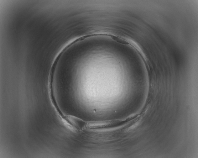 X0000070231149200606021340