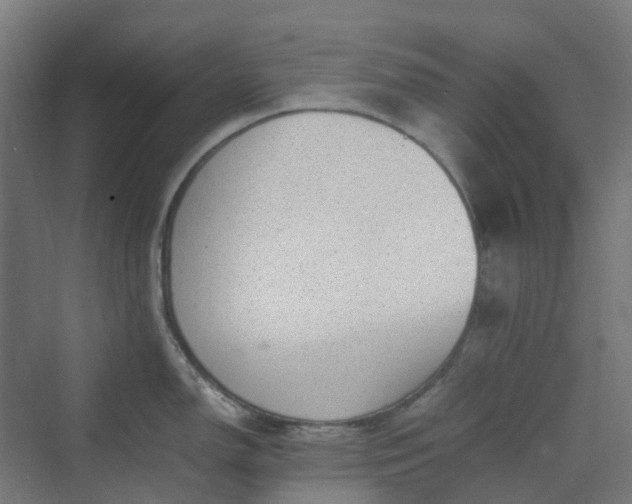 X0000070231150200606021341