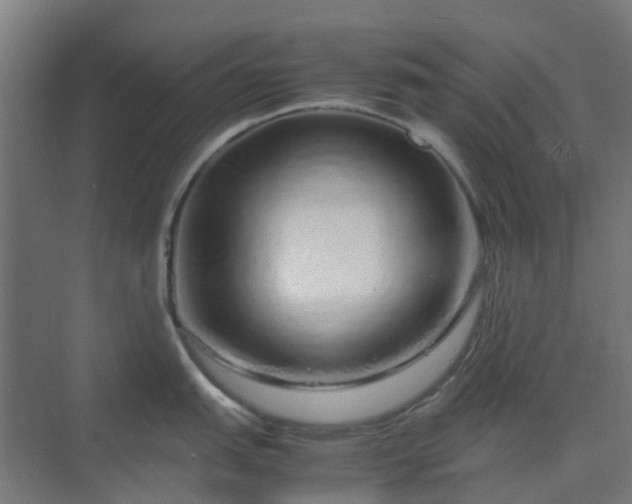 X0000070231151200606021341