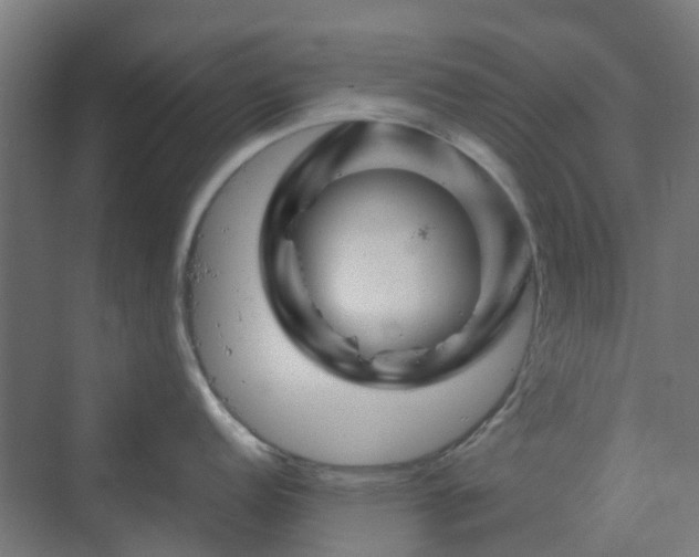 X0000070231152200606021341