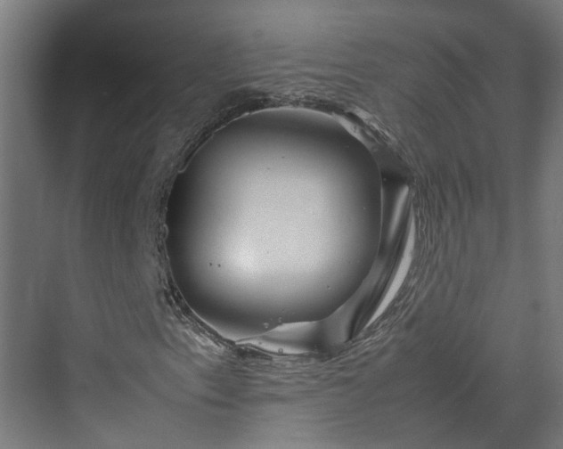 X0000070231153200606021340