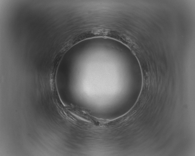 X0000070231154200606021340