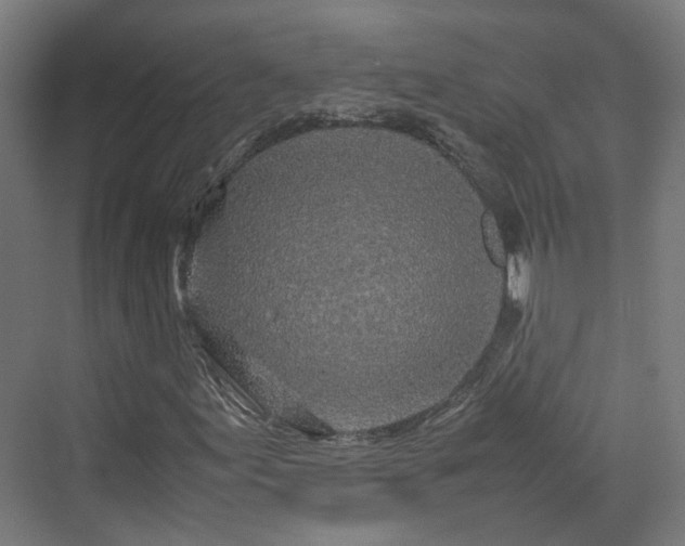 X0000070231155200606021340