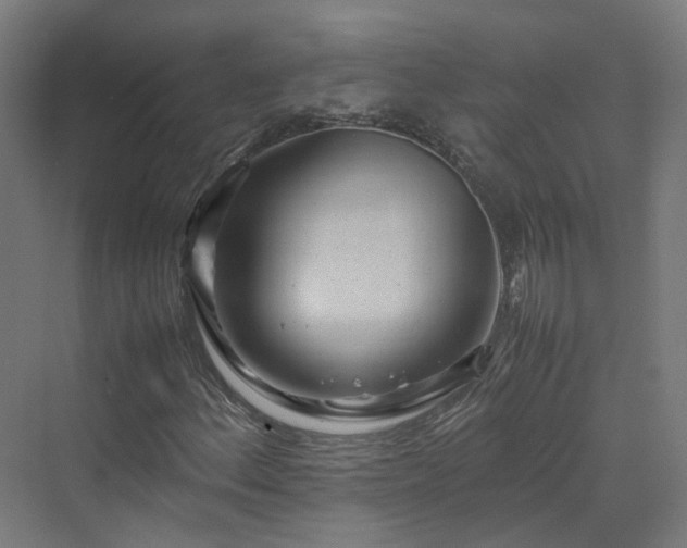 X0000070231156200606021340