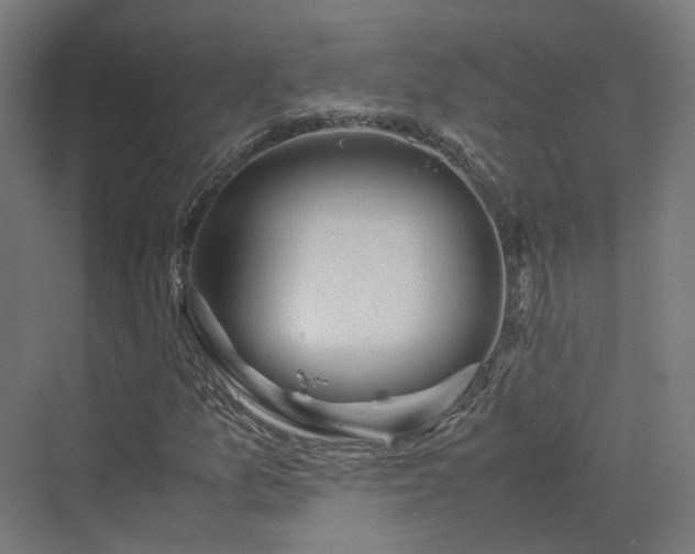 X0000070231157200606021340