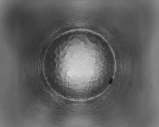 X0000070231158200606021340