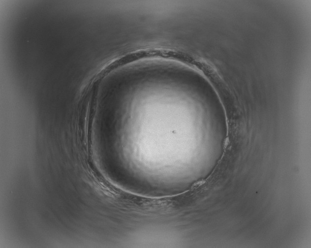 X0000070231159200606021340