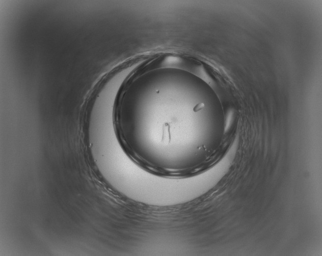 X0000070231160200606021340