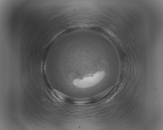 X0000070231161200606021340