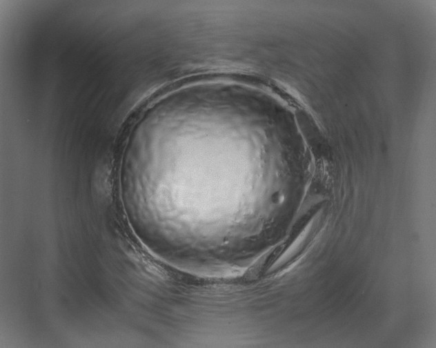 X0000070231163200606021340