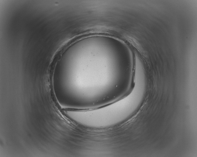 X0000070231164200606021340