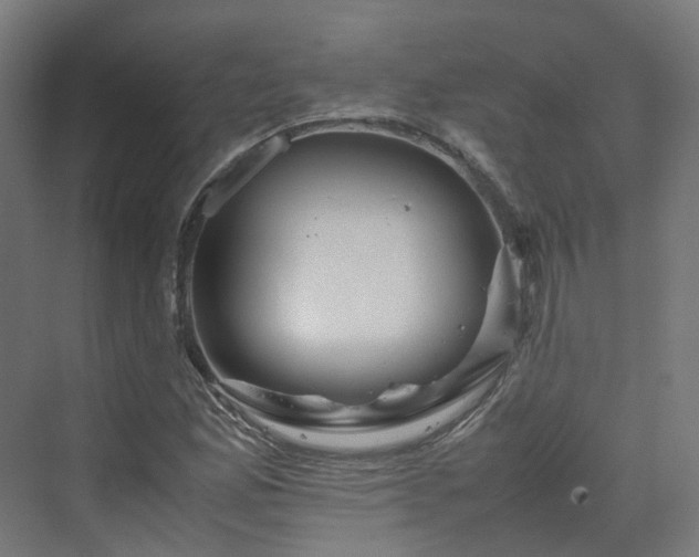 X0000070231165200606021340