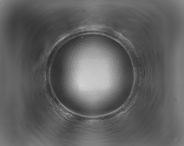 X0000070231166200606021340