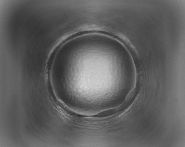 X0000070231167200606021340