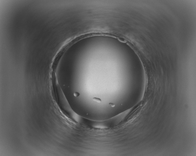 X0000070231168200606021339