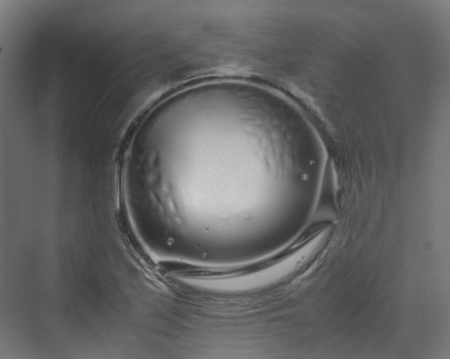 X0000070231171200606021339