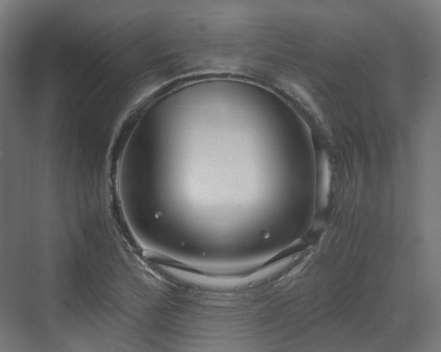 X0000070231172200606021339