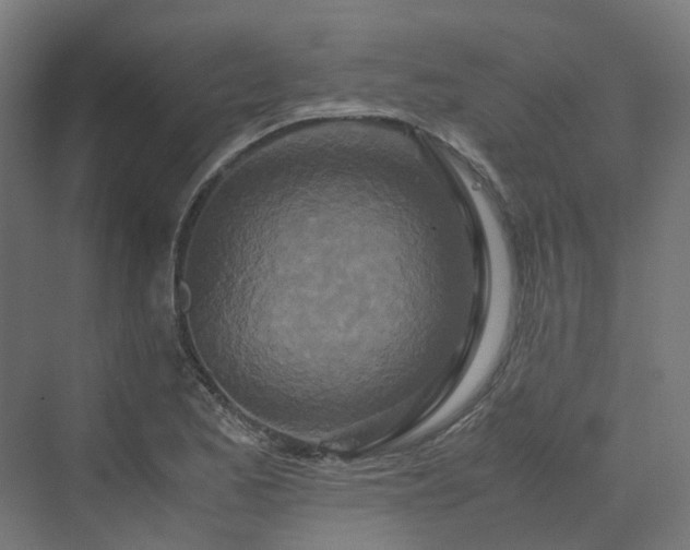 X0000070231173200606021339