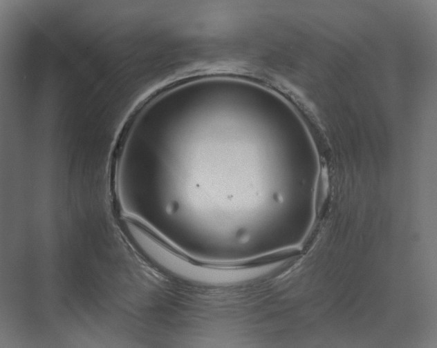 X0000070231174200606021339