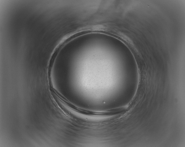 X0000070231176200606021339