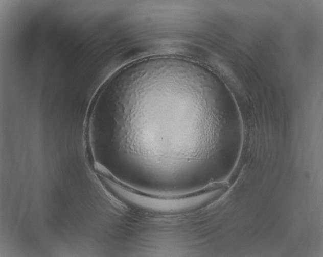 X0000070231178200606021339