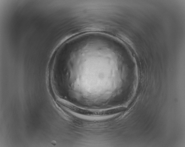 X0000070231179200606021339