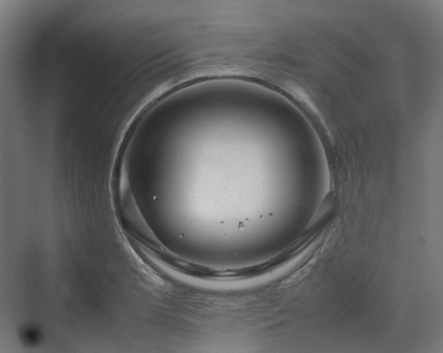 X0000070231181200606021339