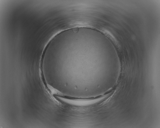 X0000070231182200606021339