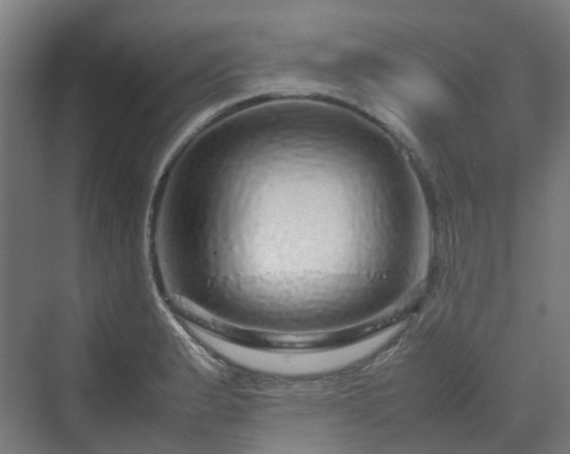 X0000070231183200606021339