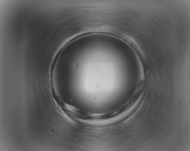 X0000070231184200606021339