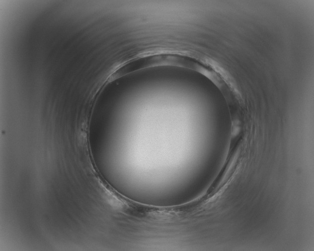 X0000070231185200606021339