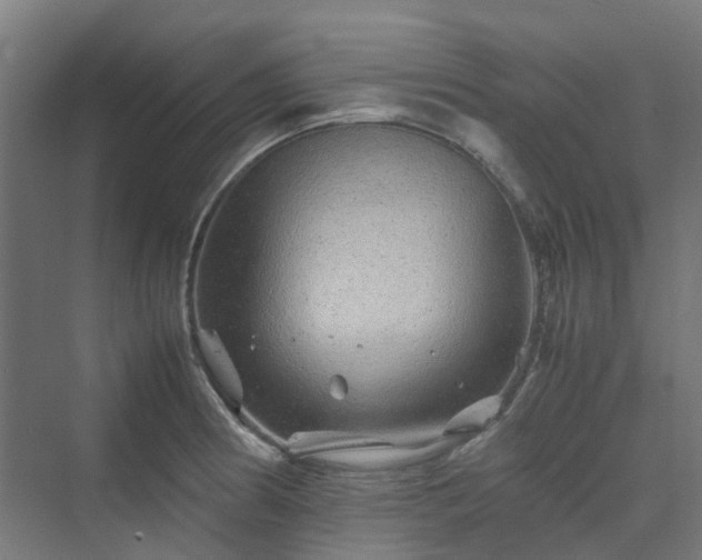 X0000070231186200606021339