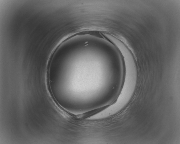 X0000070231187200606021339