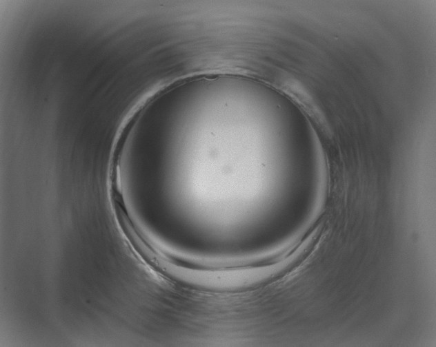 X0000070231188200606021339