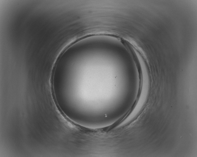 X0000070231189200606021339