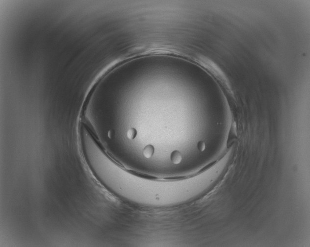 X0000070231190200606021339