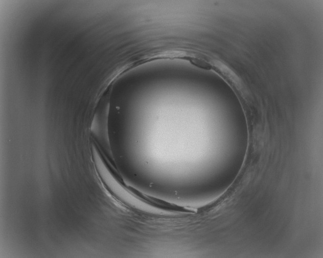 X0000070231193200606021339