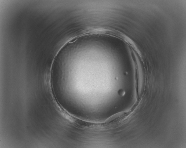 X0000070231194200606021339