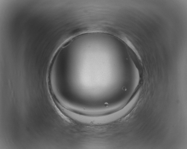 X0000070231197200606021339