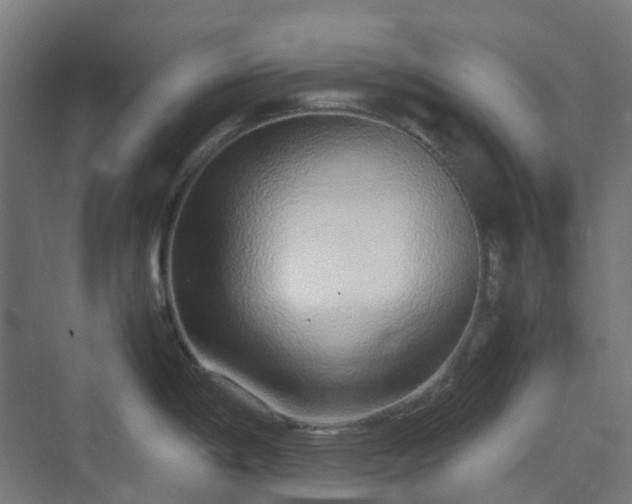 X0000070231198200606021339