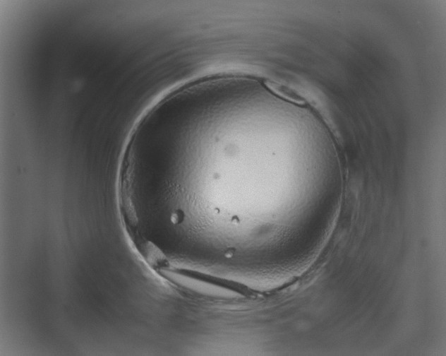 X0000070231199200606021339