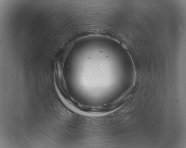 X0000070231202200606021338