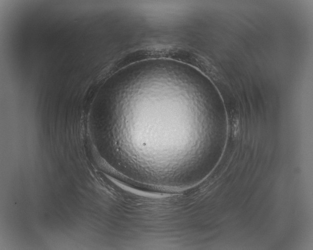 X0000070231204200606021338