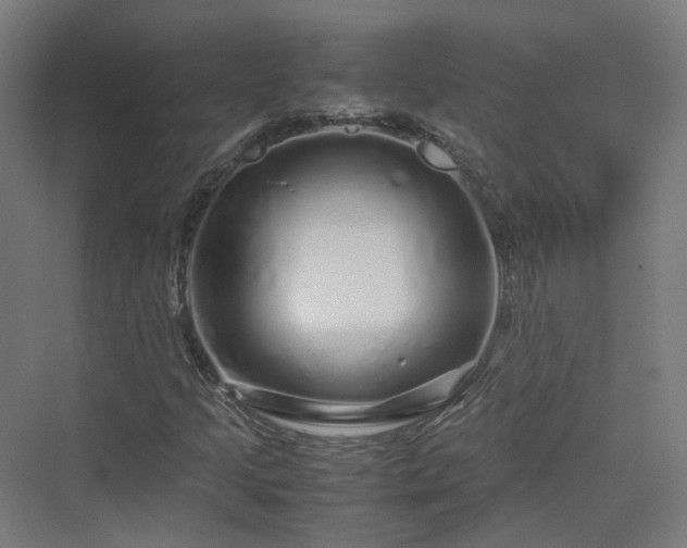 X0000070231205200606021338