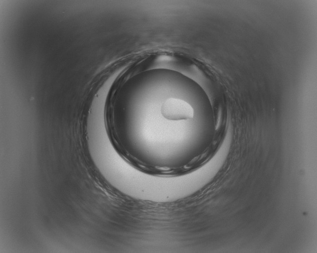 X0000070231206200606021338