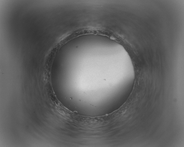 X0000070231207200606021338