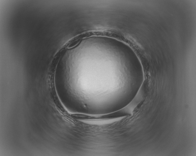 X0000070231208200606021338