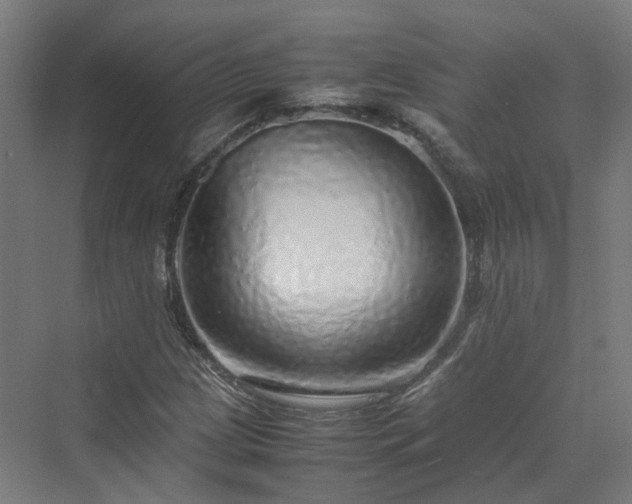 X0000070231209200606021338