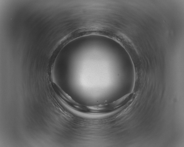 X0000070231210200606021338